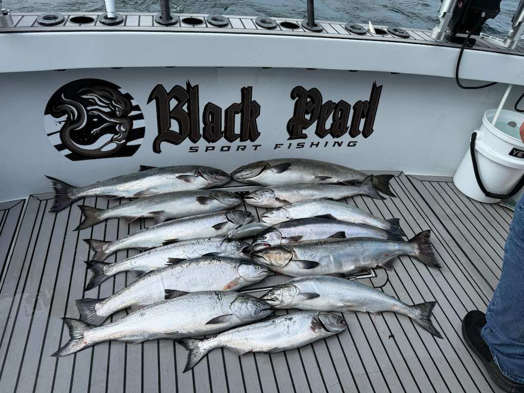 Full catch of salmon on deck