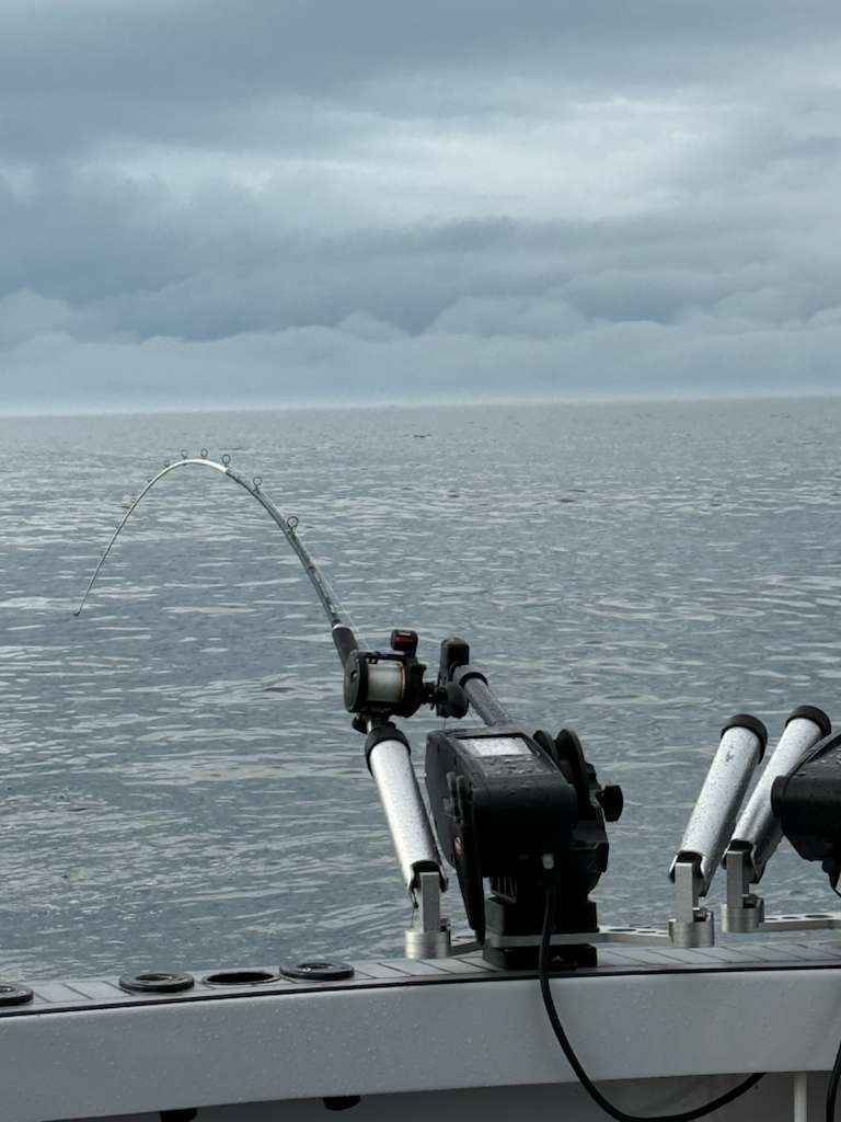 Fishing rod bent on Lake Michigan